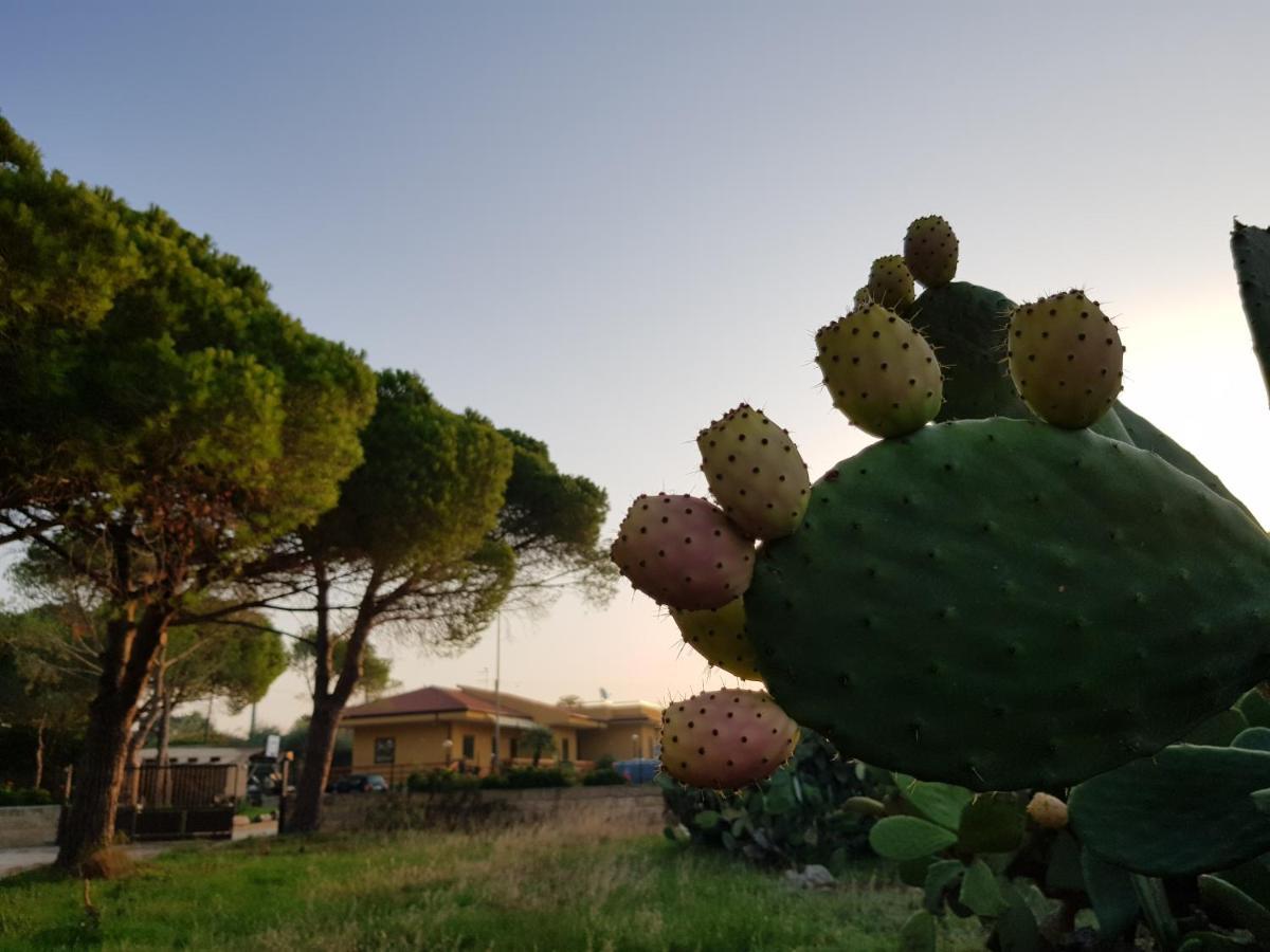 Turtle Island Apartments Santa Croce Camerina Kültér fotó