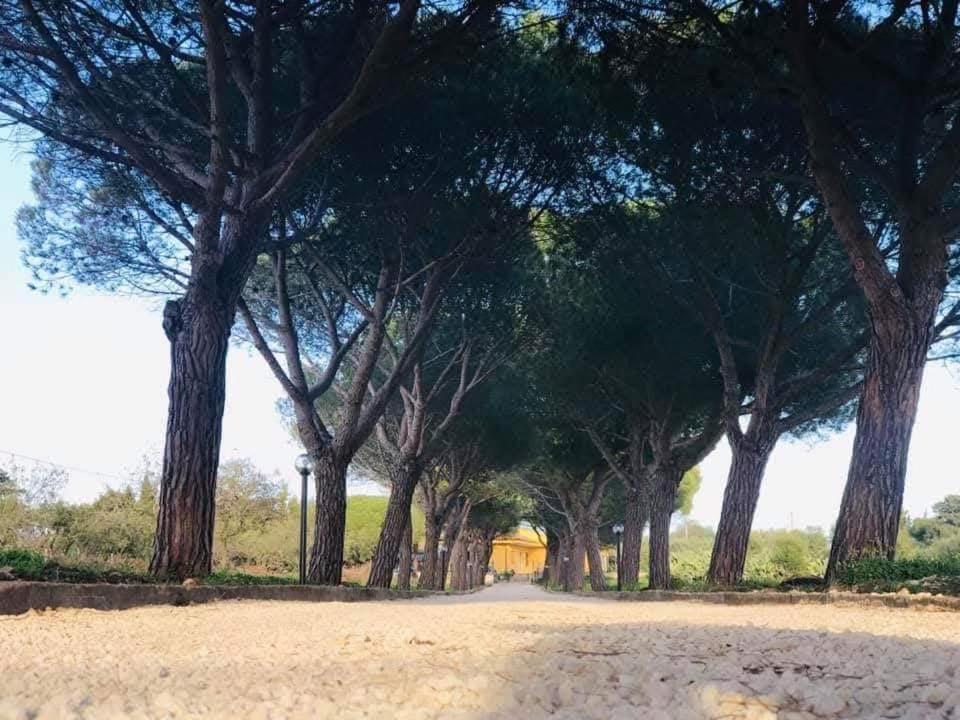 Turtle Island Apartments Santa Croce Camerina Kültér fotó